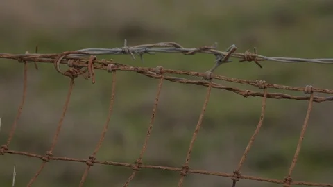 Wire and horses Stock Footage 110810659