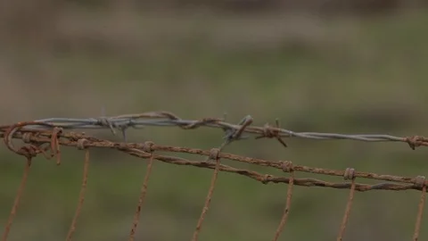 Wire and Horses Stock Footage 110810696