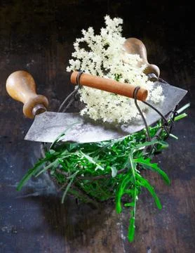 Wire basket with old chopping knife and different plants Stock Photos