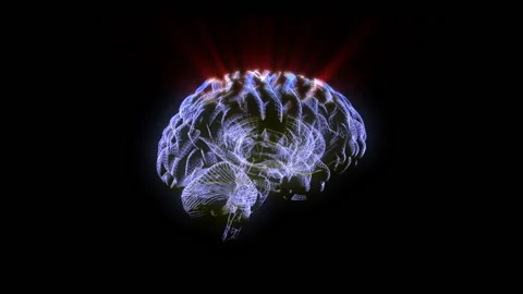 Wire Brain Stock Footage 115042866