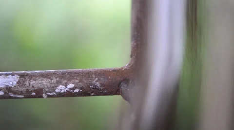 Wire brush Stock Footage 23688484