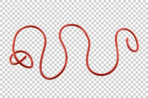 Wire cable of usb and adapter isolated on white background.Electronic Connect Stock Photos