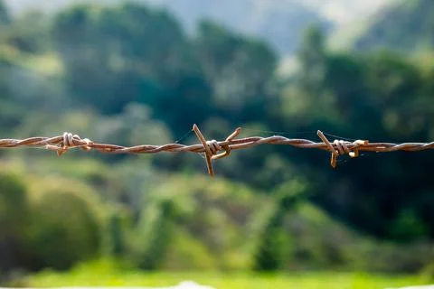 Wire coil rust cobweb hung in farm Stock Photos