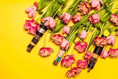 Wire copper Kabel yellow spring tulips background Stock Photos