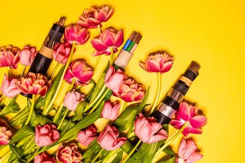 Wire copper Kabel yellow spring tulips background Stock Photos