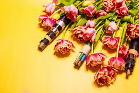 Wire copper Kabel yellow spring tulips background Stock Photos