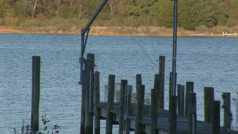Wire crab traps in Wachapreague, Accomack county Eastern shore of Virginia, USA Stock Footage 101355497