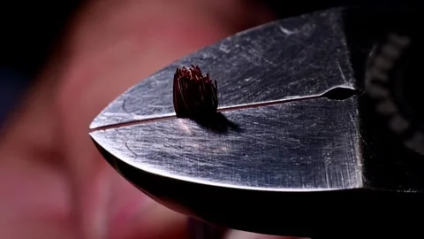 Wire cutters shearing copper wire strands in macro shot Stock Footage 345712503