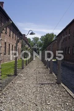 Wire fence in auschwitz concentration camp Stock Photos