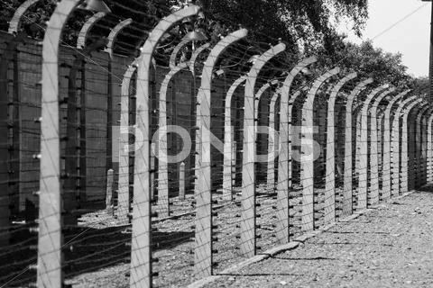 Wire fence in auschwitz concentration camp Stock Photos