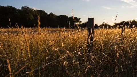 Wire fence backlit by sunset Stock Photos