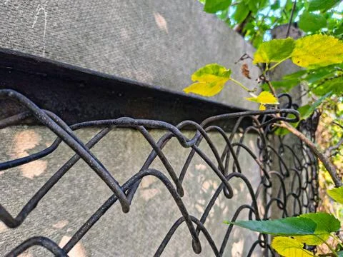 Wire fence. chain link mesh. rusty iron fence. old rusty cage. symbol of fr.. Stock Photos