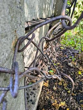 Wire fence. chain link mesh. rusty iron fence. old rusty cage. symbol of fr.. Stock Photos