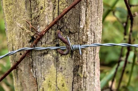 Wire fence post Stock Photos