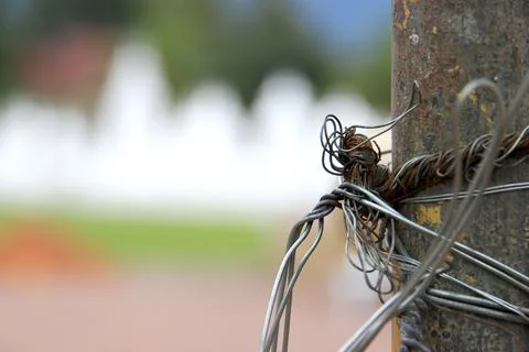 The wire is firmly attached to the tree. Stock Photos