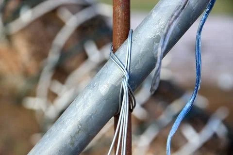 The wire is firmly attached to the tree. Stock Photos