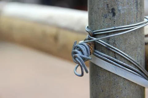 The wire is firmly attached to the tree. Stock Photos