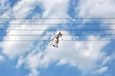 Wire flowers Stock Photos