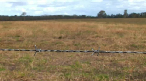Wire focus HQ Stock Footage