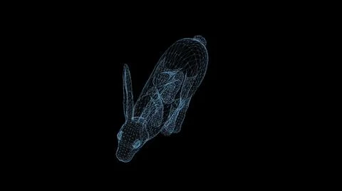 Wire frame 3d illustration of rabbit running on black background Stock Illustration