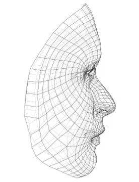Wire-frame abstract human face Stock Illustration