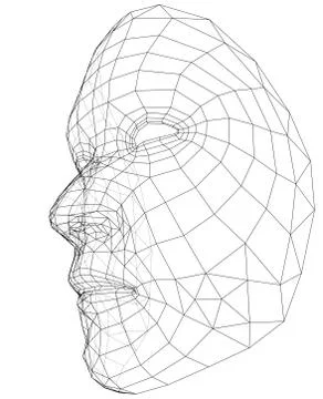 Wire-frame abstract human face 库存插图
