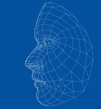 Wire-frame abstract human face Stock Illustration