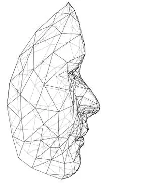 Wire-frame abstract human face Stock Illustration