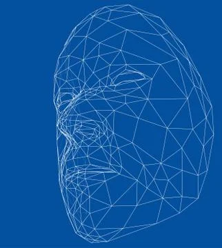 Wire-frame abstract human face Stockillustratie