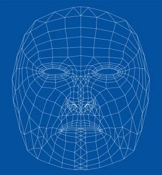 Wire-frame abstract human face 库存插图