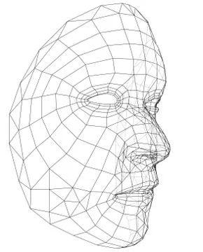 Wire-frame abstract human face イラスト素材