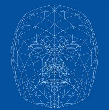 Wire-frame abstract human face Stock Illustration