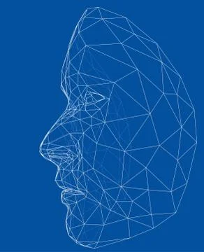 Wire-frame abstract human face Stock Illustration
