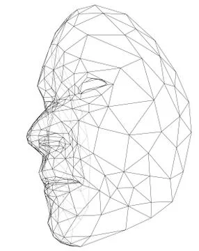 Wire-frame abstract human face Stockillustratie