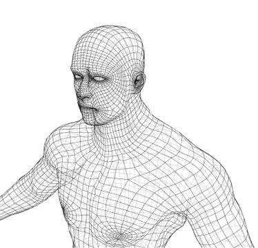 Wire frame athlete body on white background Ilustración de archivo