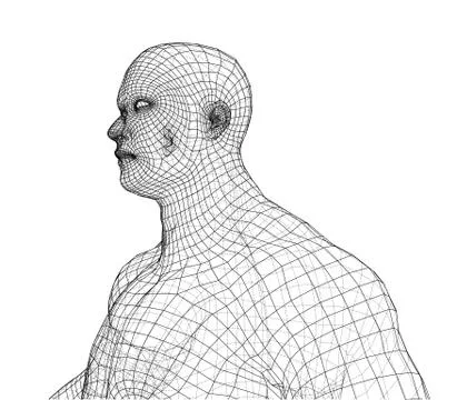 Wire frame athlete body on white background Ilustración de archivo
