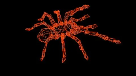 Wire frame model of spider  - 3D Rendering Stock Illustration