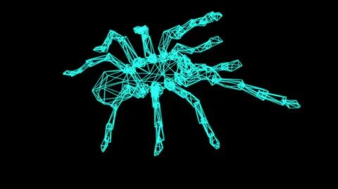 Wire frame model of spider  - 3D Rendering Stock Illustration