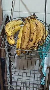 Wire Fruit Basket Filled with Ripening Bananas 스톡 사진
