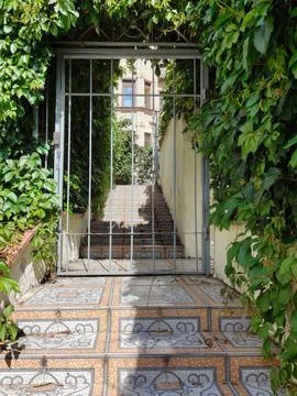 Wire gate on stone steps made of tiles. A vine weaves around it Stock Photos