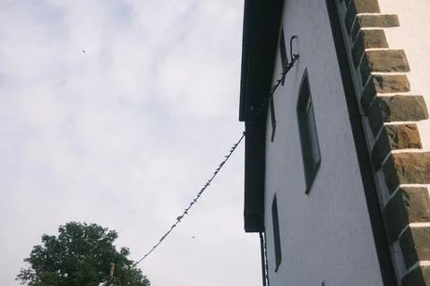 A wire is hanging from a tree and is attached to a building Foto stock