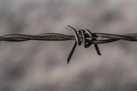 A wire with a knot in it Stock-Fotos