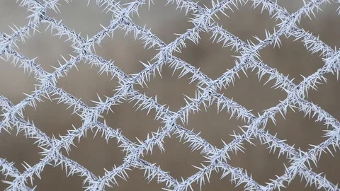 Wire mesh covered with ice Stock Footage 100327074
