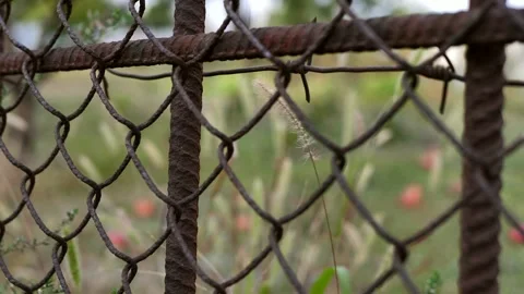 Wire, Mesh fence, concepts of restriction of freedom. Stock Footage 285651623