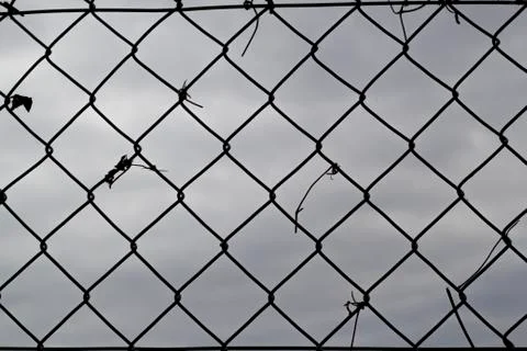 Wire mesh Foto stock
