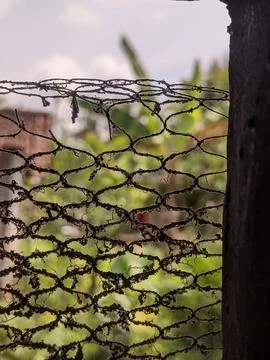 Wire mesh Stock Photos