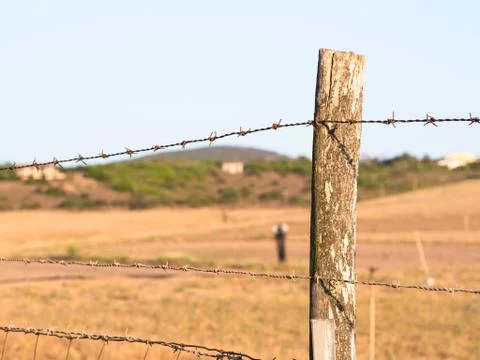 Wire Mesh - point of view Stock Photos