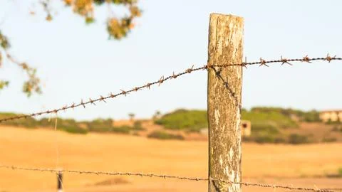 Wire Mesh - point of view Stock Photos
