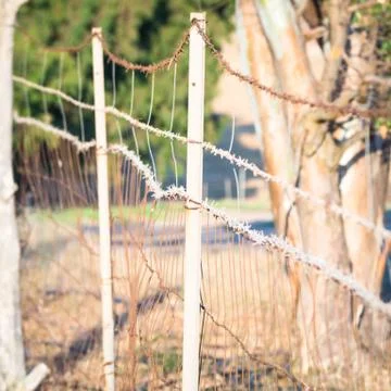 Wire Mesh - point of view Stock Photos