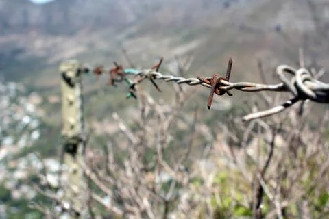 Wire-netting Foto stock